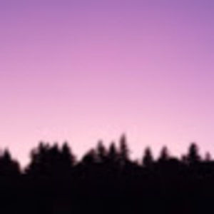 Meet your Posher, Christy